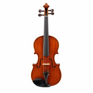 France violin 1900